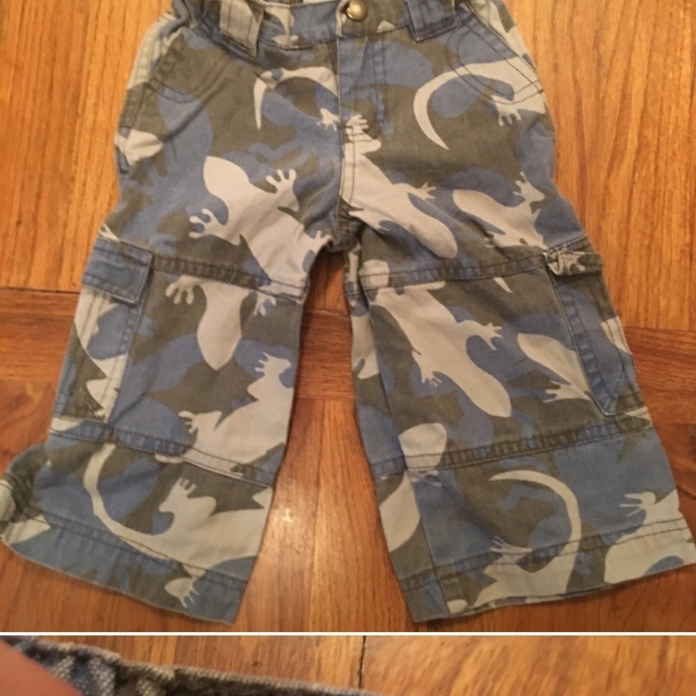 Garnet Hill lizard pants